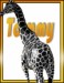 avatar_giraffe